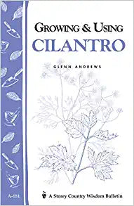 Growing & Using Cilantro