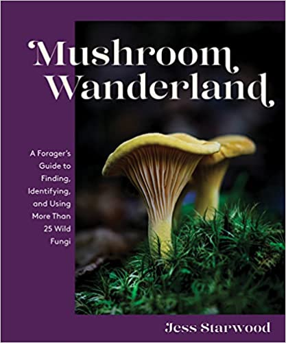 Mushroom Wanderland: A Forager&