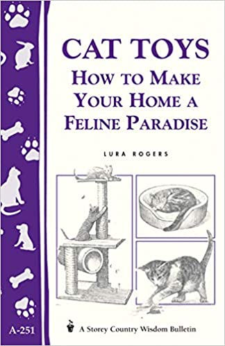 Cat Toys How To Make Your Home A Feline Paradise