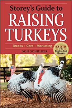 Raising Turkeys